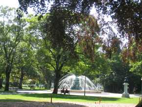 日內瓦湖旁邊的公園Jardin Anglais綠意盎然。
